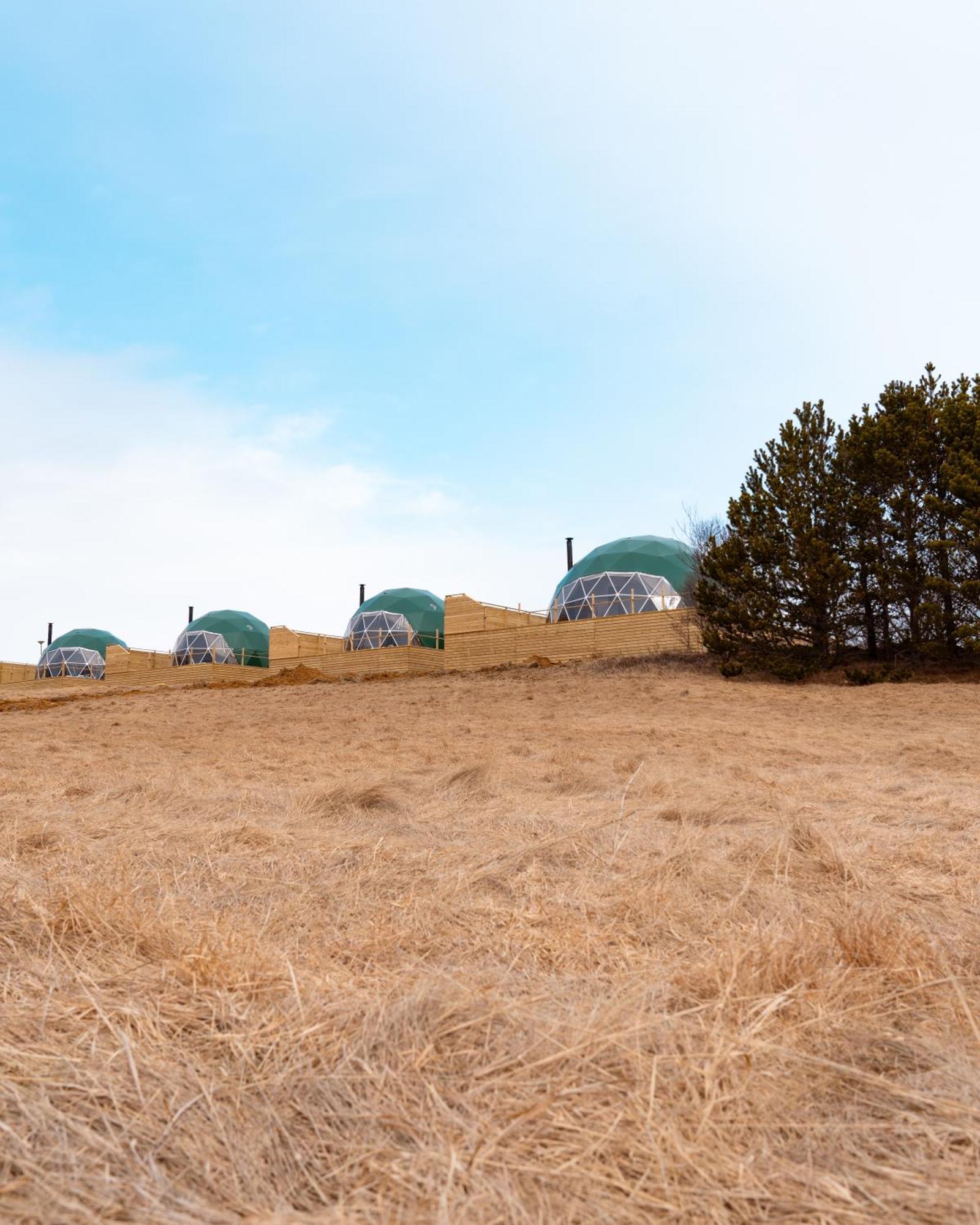 Golden Circle Domes - View Selfoss